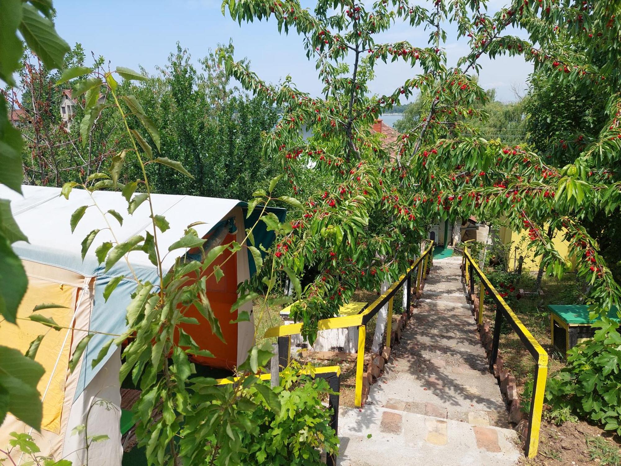 Angelinin Guest house Negotin