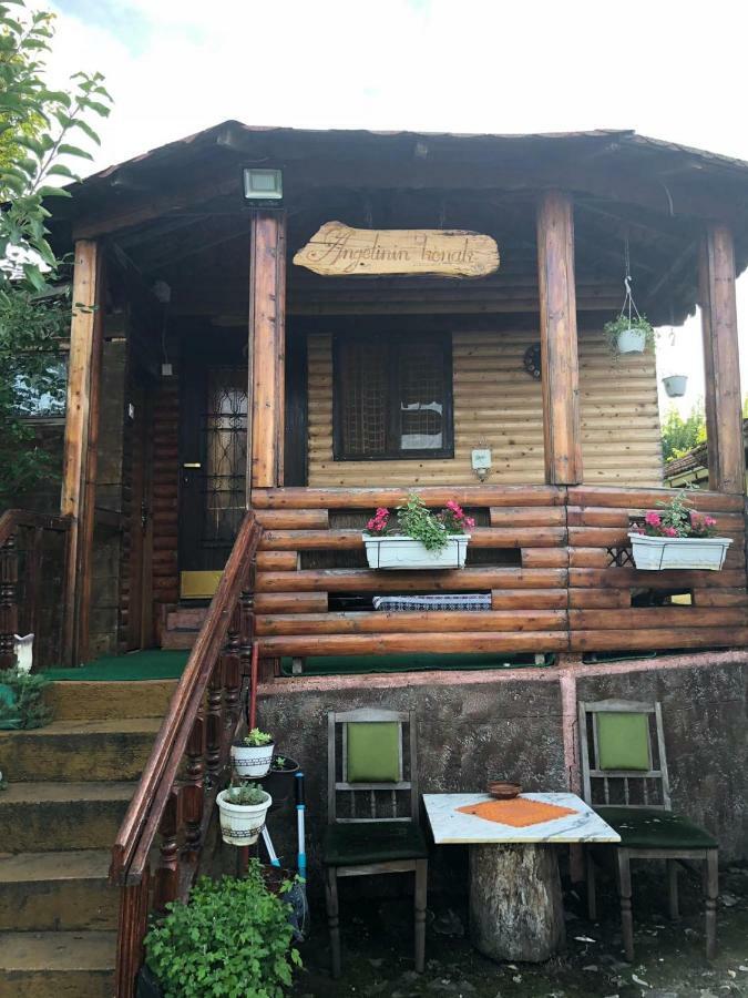 Angelinin Negotin