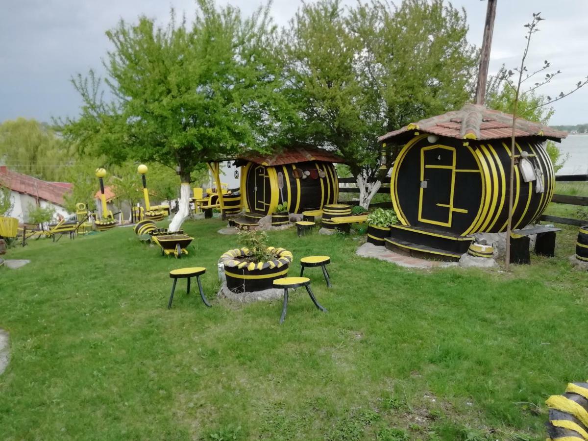 Angelinin Negotin